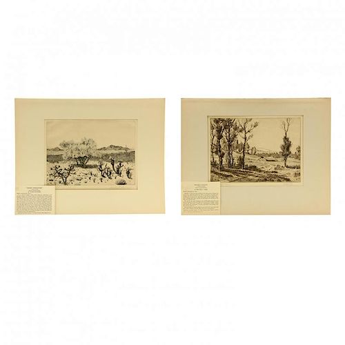 Two Landscape Etchings by Members of Associated American Artists - Rudolph and Wire