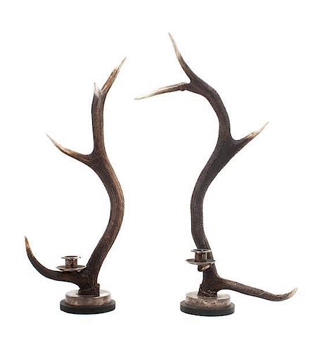 Two English Stag Horn Candlesticks Height of taller 24 inches.