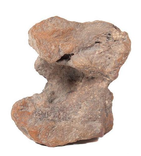 * A Fossilized Bone Fragment Width 9 1/2 inches.