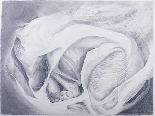 Cynthia Young "Fragment #3" Graphite Drawing