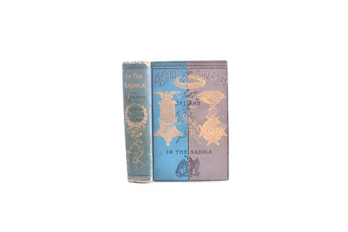1895 First Ed. The Blue and The Gray On Land