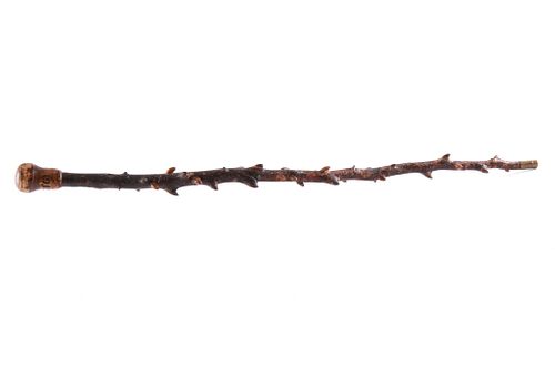 Hand-carved Blackthorn Walking Stick, c.1913