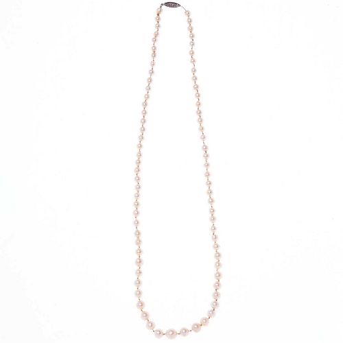 Collar de un hilo con 77 perlas cultivadas color crema de 4 a 8 mm. Peso: 21.7 g.