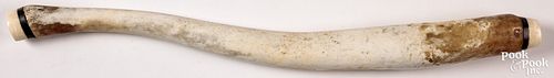 Large Alaskan Inuit walrus oosik bone