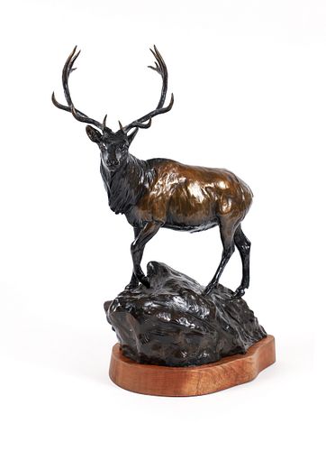 Curtis Zabel Elk Bronze Mountain Royalty