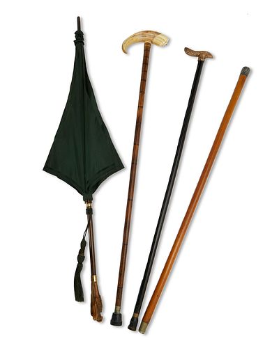 A group of canes and one umbrella