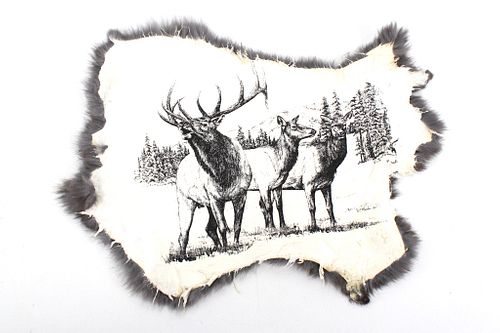Montana Printed Rabbit Hide Taxidermy Collection