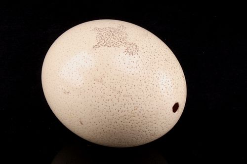 Original South African, San Etched Ostrich Egg