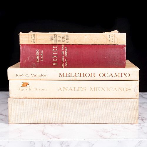 Libros sobre Historia de México. México, historia de una gran Ciudad / Visión Panorámica de la Historia de México. Piezas: 5.