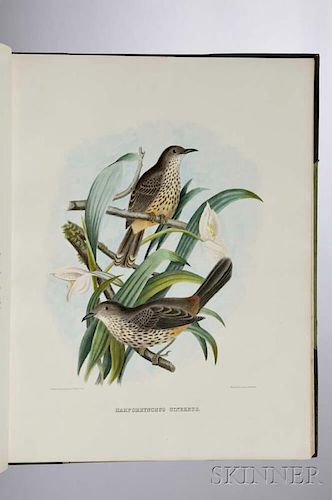 Elliot, Daniel Giraud (1835-1915) The New and Heretofore Unfigured Species of the Birds of North America.