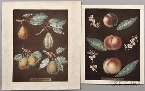 Brookshaw, George (1751-1823) Two Botanical Prints, Pears and Peaches.