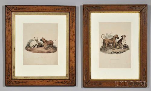 Edwards, Sydenham Teast (1768-1819) Two Framed Dog Prints.