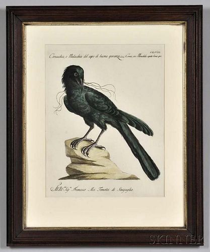 Manetti, Xavier (1723-1784) Five Engraved Ornithological Prints.