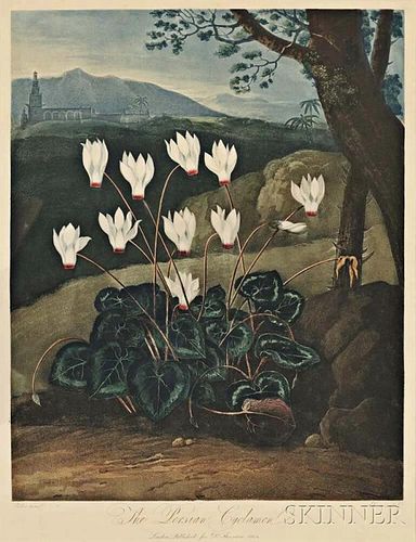 Thornton, Robert John (c. 1768-1873) Two Botanical Prints.
