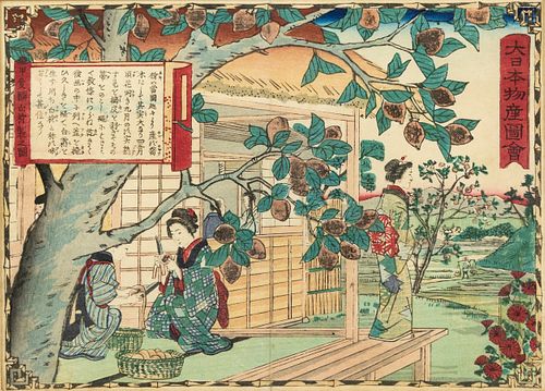 19th C Utagawa Hiroshige II 'Growing Persimmon' Woodblock