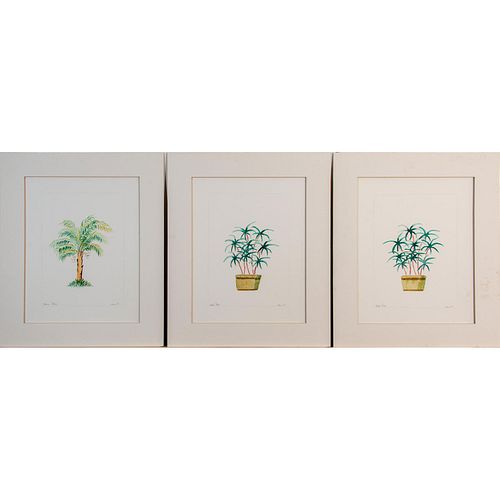 3pc Illegibly Signed Watercolors Palm Trees