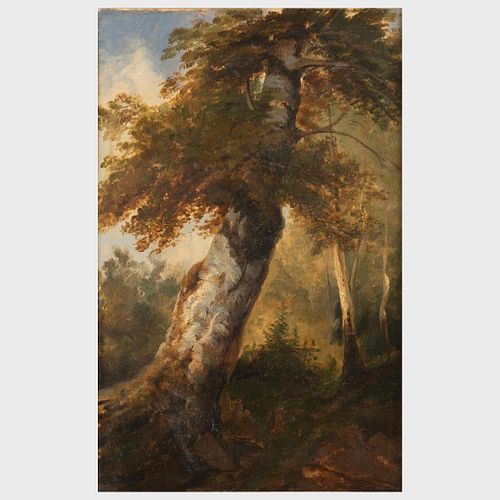 French School: Forest Study; and Study of a Tree