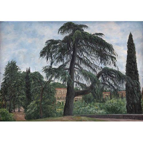 NICOLÁS MORENO, El pino mediterráneo, Firmado y fechado 2004, Óleo sobre papel sobre madera, 47 x 68 cm, Con certificado