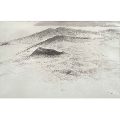 LUIS NISHIZAWA, Sin título, Firmada, Tinta sobre papel, 34 x 52 cm