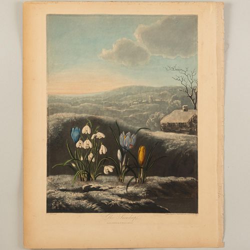 Robert John Thornton (1768-1837):  The Snowdrop
