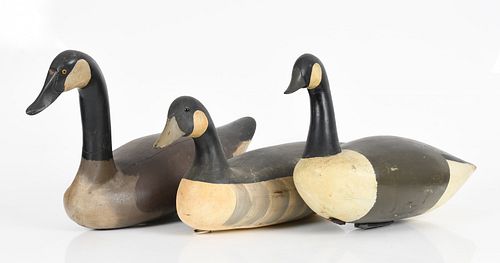 Three Working Canada Geese Hunting Decoys