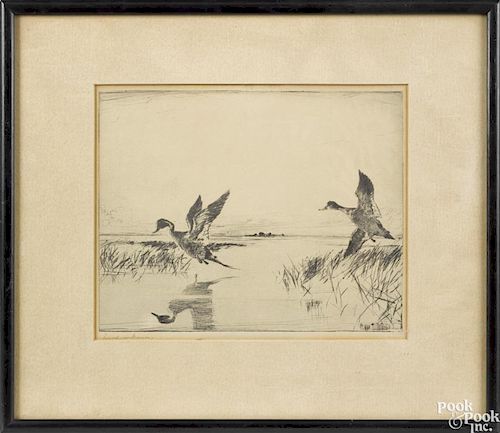 Frank W. Benson, etching of pintail ducks, titled Pair of Pintails, signed lower left