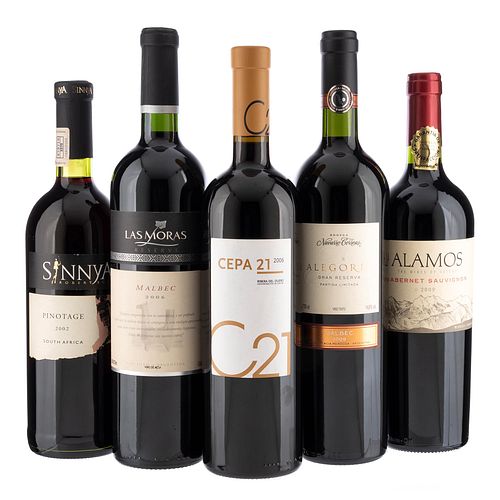 Lote de Vinos Tintos de Argentina, España y South Africa. Alamos. Las Moras. En presentaciones de 750 ml. Total de piezas: 5.