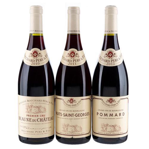 Lote de Vinos Tintos de Francia. Pommard. Beaune Du Château. En presentaciones de 750 ml. Total de piezas: 3.
