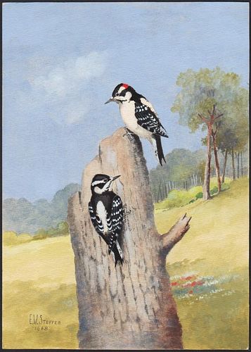 Steffen Watercolor of Downy Woodpecker