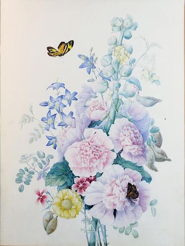 School of Redoute Botanical Drawings