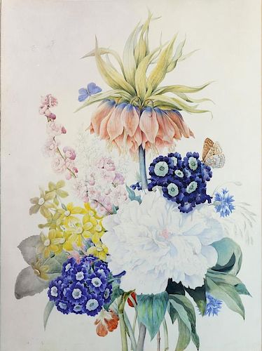 School of Redoute Botanical Drawings