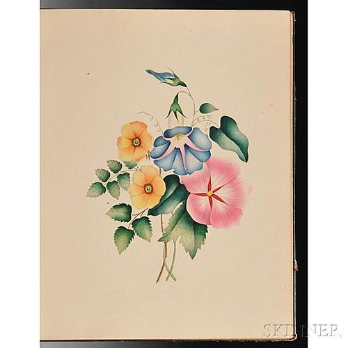 Wyatt, Thomas and James Ackerman (c. 1813) Unfading Beauties; or Illustrations of Flowers and Fruit;    Principally from Nature.