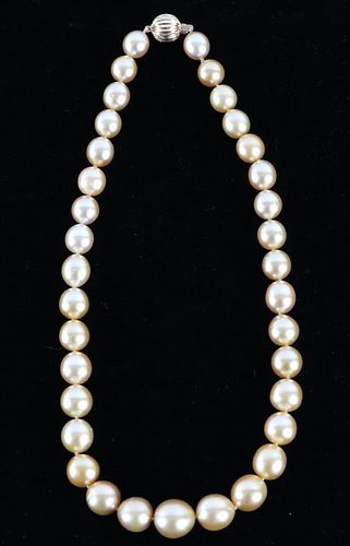 RARE Natural Golden South Sea Pearl Necklace