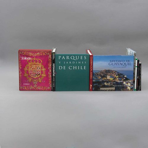 Libros sobre Países. Santiago de Guayaquil / Chile desde el Sur del Sol / Toledo / Parques y Jardines de Chile. Piezas: 9.