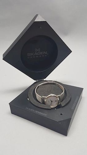 Skagen Ultra Slim Stainless Steel Watch