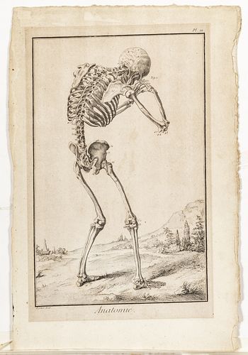 A.J. Defehrt  After Andreas Vesalius Engraving On Watermarked Laid Paper,  18th C., Anatomie, H 13'' W 8''