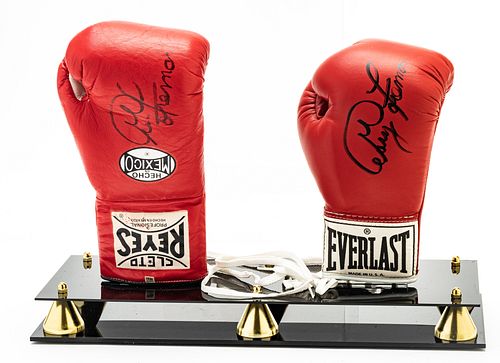 GEORGE FOREMAN SIGNED BOXING GLOVES 