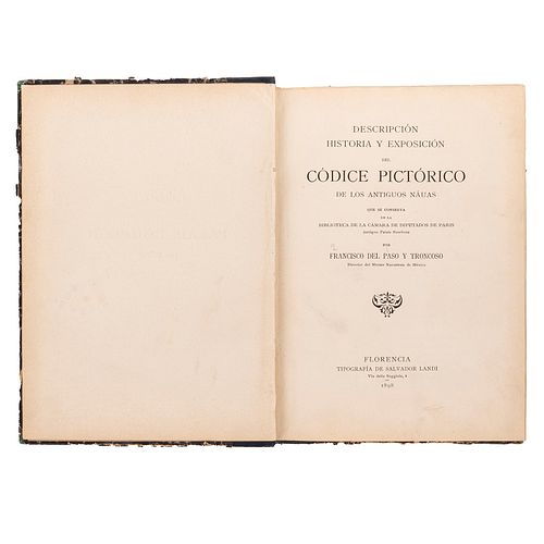 Paso y Troncoso, Francisco del. Códice del Palais Bourbon de Paris. Florencia: Tip. de Salvador Landi, 1899.