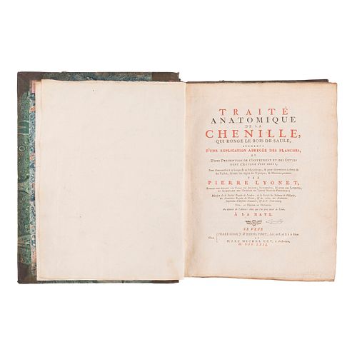 Lyonet, Pierre. Traite Anatomique de la Chenille qui Ronge... Augmentee d'Une Explication Abregee des Planches. La Haye, 1762. 19 lámin