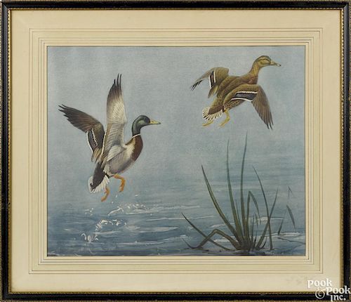 Conrad Roland, two lithographs of ducks, 17 1/2'' x 21 1/4''.