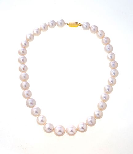 SOUTH SEA PEARL & 18KT GOLD CLASP NECKLACE, L 17", T.W. 92 GR 