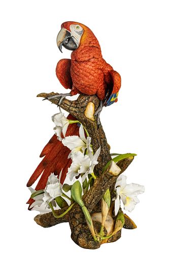 Bone China Figure, 'Red Macaw' H 28'' W 21'' Depth 13''