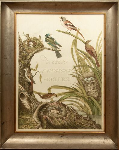 JAN CHRISTIAAN SEPP (DUTCH) REPRODUCTION PRINT ON PAPER, H 38", W 28", NEDERLANDISCHE VOGELEN (BIRDS OF THE NETHERLANDS) 