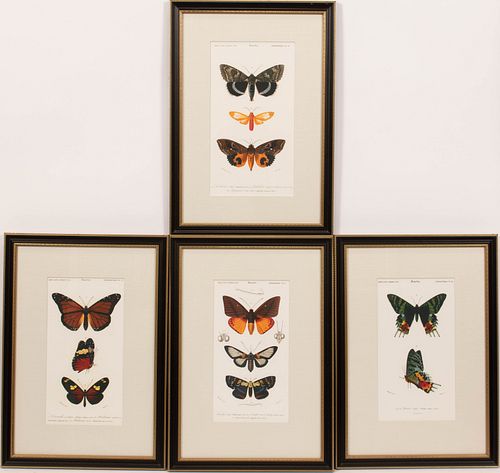 AFTER M. CHARLES D'ORBIGNY, (FRENCH) GICLEE ON PAPER, C. 1849, GROUP OF FOUR, H 14" W 7.5" BUTTERFLIES, FROM DICTIONNARIE UNIVERSAL D'HISOIRE NATURELL