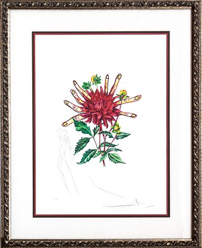 SALVADOR DALI (SPANISH, 1904–1989) LITHOGRAPH IN COLORS WITH ENGRAVING ON WOVE PAPER, 1972 H 24" W 16" DAHLIA VENUS, FROM FLORALS SUITE 