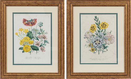 JANE LOUDON, TINTED LITHOGRAPHS ON PAPER, PAIR, H 10", W 8", BOTANICAL SUBJECTS 