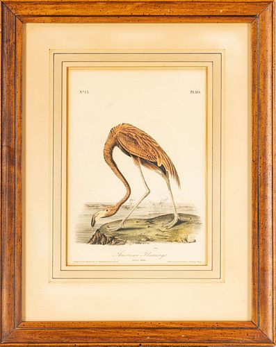 After John James Audubon (American, 1785-1851) Birds Of America,