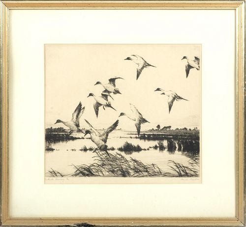 Hans Kleiber (Wyoming/German, 1887-1967) Drypoint Etching On Paper, Pintails Coming In, H 11.25'' W 13''