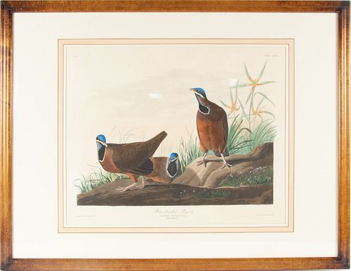 AFTER JOHN JAMES AUDUBON (1785-1851) BY ROBERT HAVELL (1793-1878) ENGRAVING WITH AQUATINT AND ETCHING WITH HAND-COLORING ON J. WHATMAN 1833 PAPER, H 2