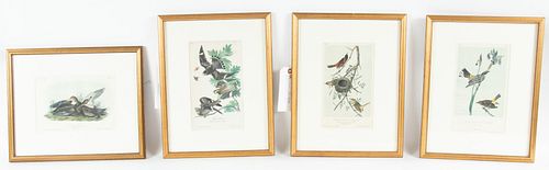 AFTER JOHN JAMES AUDUBON (1785-1851) LITHOGRAPHS WITH HAND COLORING ON WOVE PAPER, 4 PCS, H 6"-9.5", BIRD STUDIES 